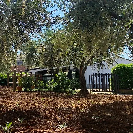 Tenuta Del Casale *